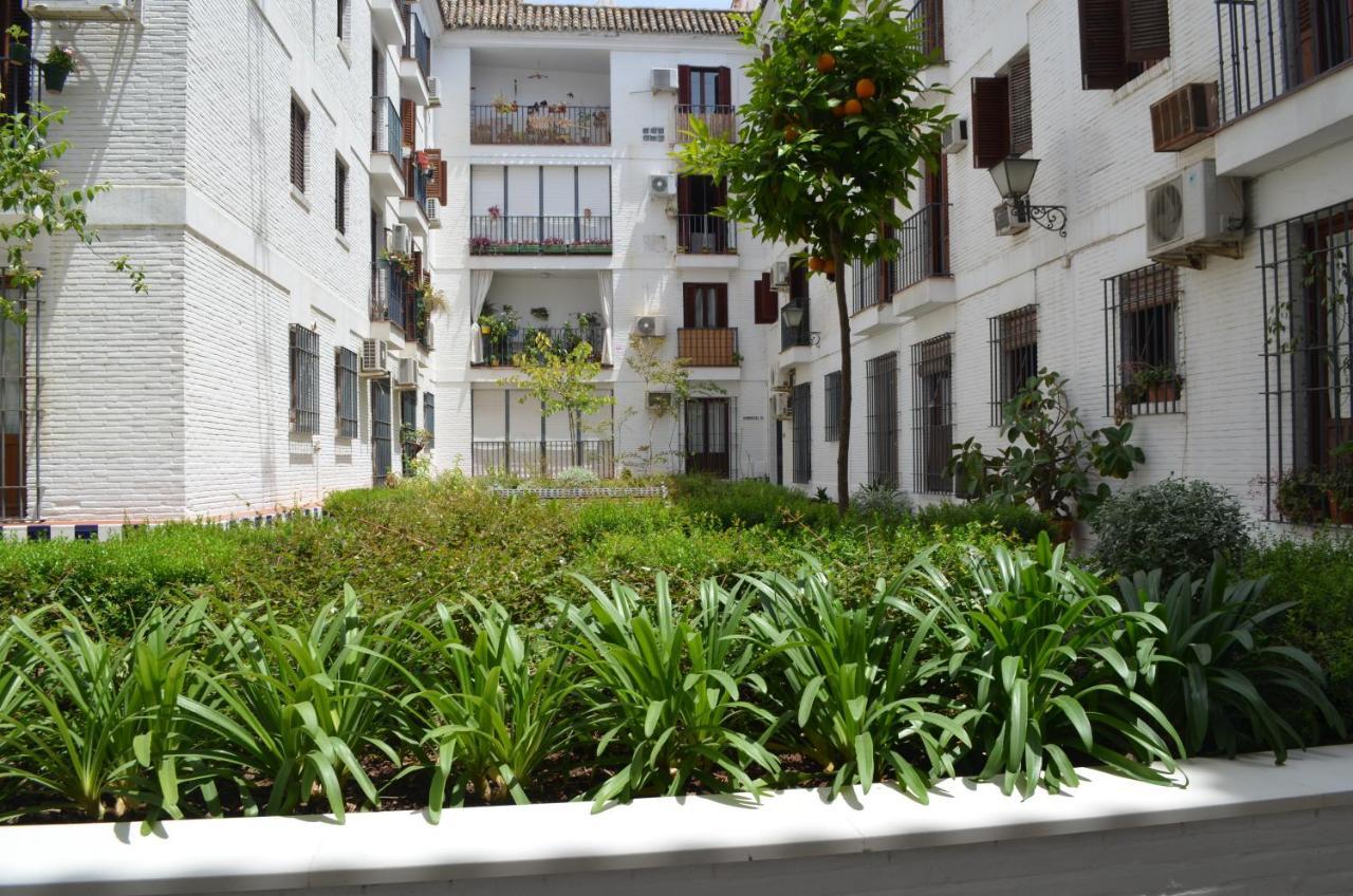 La Casa De Jose Manuel Lejlighed Sevilla Eksteriør billede